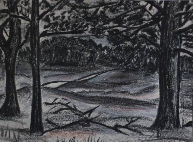 Heide bei Schierhorn, 1988, Kohle auf Papier, 17cmx22cm.jpg